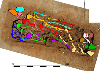 Massengrab aus dem Dreißigjährigen Krieg. Menschliche Überreste wurden zur besseren Erkennung nachträglich farblich hervorgehoben.