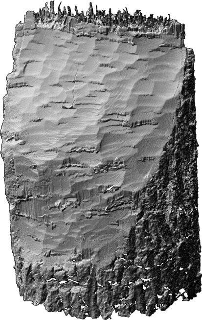 Laserscan eines mit einem Steinbeil gefällten Baumstumpfes.