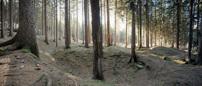 Pingen und Grubenhäuser sind auch heute noch im dichten Fichtenwald zu erkennen.