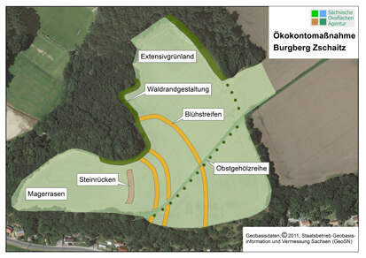 Planungsskizze der Bepflanzung des Burgbergs.