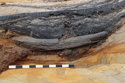 Das Teil des Wasserrades im Sediment des ehemaligen Flussbettes des Schöps.