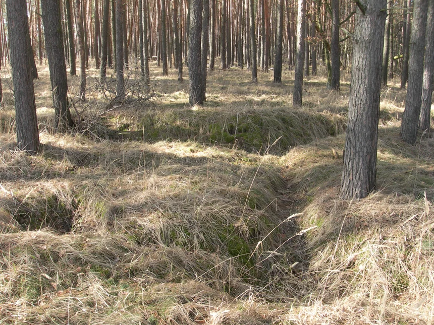 Im Zick-zack verlaufender Schützengraben mit vorgelagertem Stichgraben bei Dreschka (Gde. Neißeaue, Kr. Görlitz, Foto: M. Strobel)