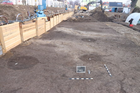 Dunkle Siedlungsgruben sind deutlich im Planum erkennbar