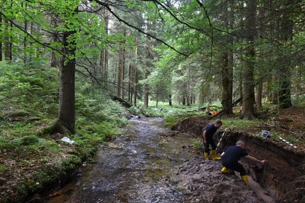 Zwei Archäologen untersuchen an einem Bachlauf im Wald die Schichten im Bachufer