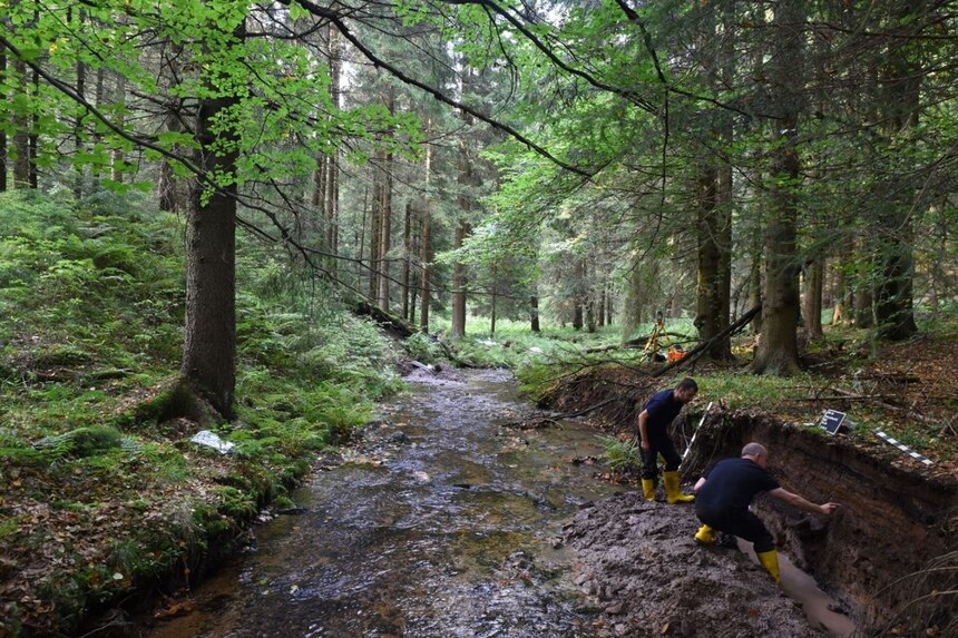 Zwei Archäologen untersuchen an einem Bachlauf im Wald die Schichten im Bachufer