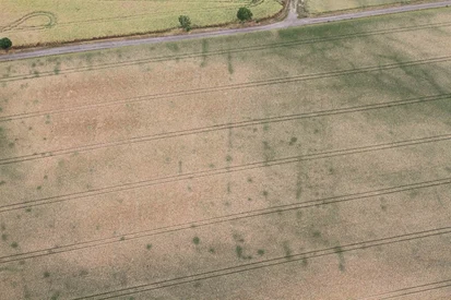 Casabra, Lkr. Nordsachsen, Hausgrundrisse, linienbandkeramische Zeit (um 5200-4800 v. Chr.), Aufnahme vom 12. Juni 2018.
