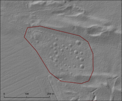 Grabhügelfeld, Gmd. Beilrode: runde, konvexe Struktur im DGM.