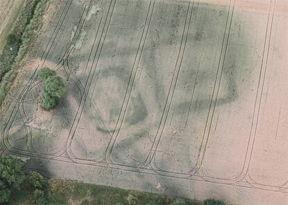 Wasserburg, Gmd. Lossatal: Bewuchsanomalien im Acker verweisen auf vorhandene Strukturen im Boden. Diese können aus der Luft erkennbar sein.