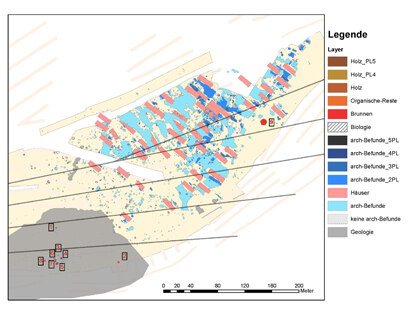Plan der Grabungsfläche mit Hausgrundrissen und Lage der Brunnenbefunde.