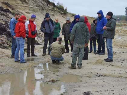 Freigelegtes geologisches Profil im Tagebauvorfeld.