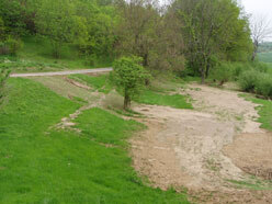 Bodenerosion aus Kartoffelschlag (Lkr. Mittelsachsen, Frühsommer 2003)